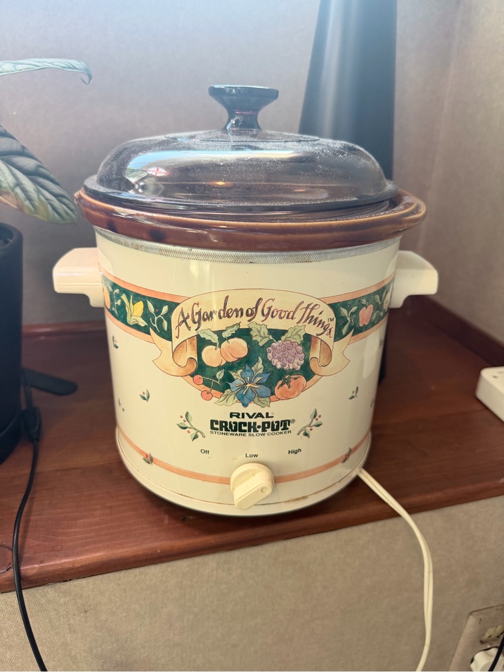 Rival Slow Cooker in Cream with a garden of good things